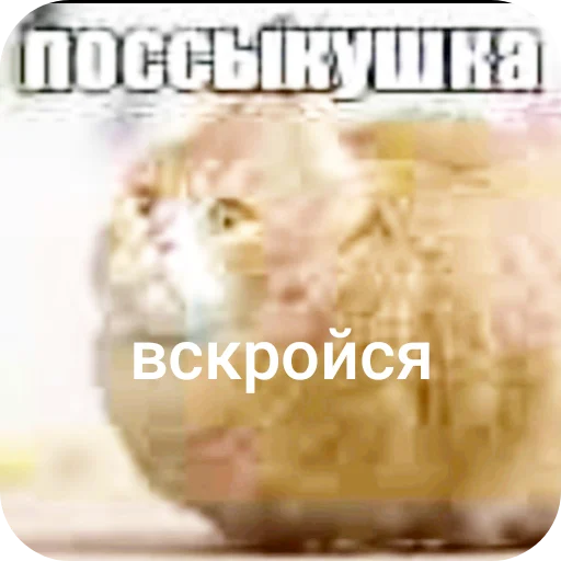 🤲 Стикер «поссыкушка» для Telegram