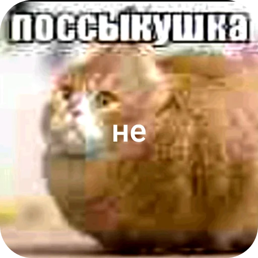 🤲 Стикер «поссыкушка» для Telegram