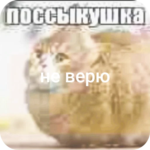 🤲 Стикер «поссыкушка» для Telegram