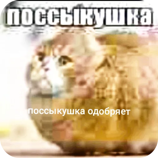 🤲 Стикер «поссыкушка» для Telegram