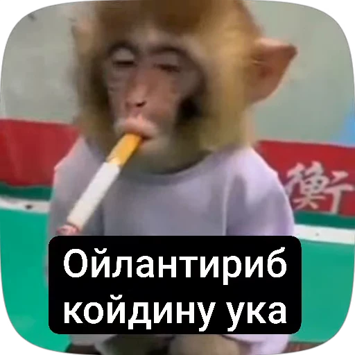 🌟 Стикер «У́ткирники» для Telegram