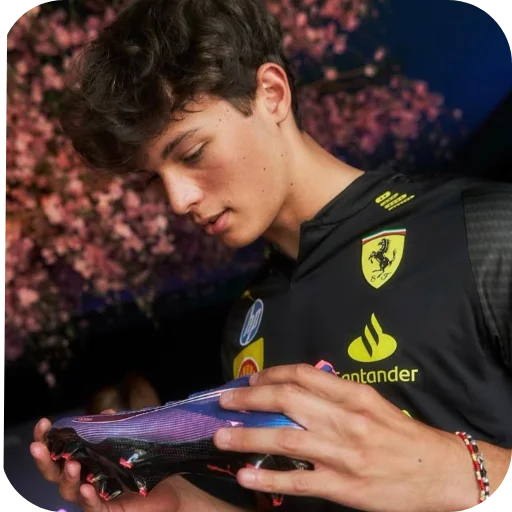 🐻 Стикер «Formula 1» для Telegram