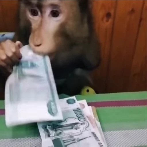 💰 Стикер «НЕ ЖМИ» для Telegram