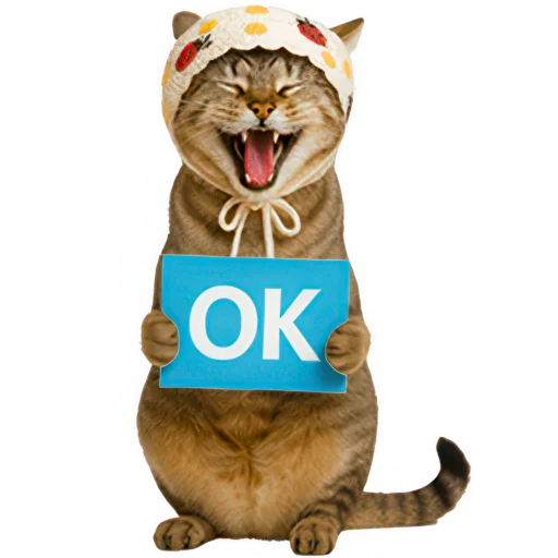 👌 Стикер «Кот с платком» для Telegram