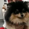 Стикер 7 Taehyung