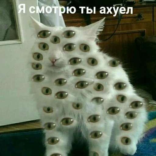 🤠 Стикер «Tak_Nada 2.0» для Telegram