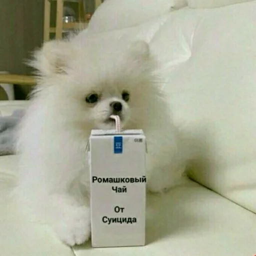 🥰 Стикер «Tak_Nada 2.0» для Telegram
