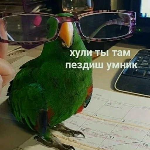 🗿 Стикер «Tak_Nada 2.0» для Telegram