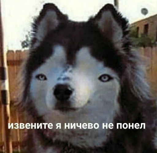 🗿 Стикер «Tak_Nada 2.0» для Telegram