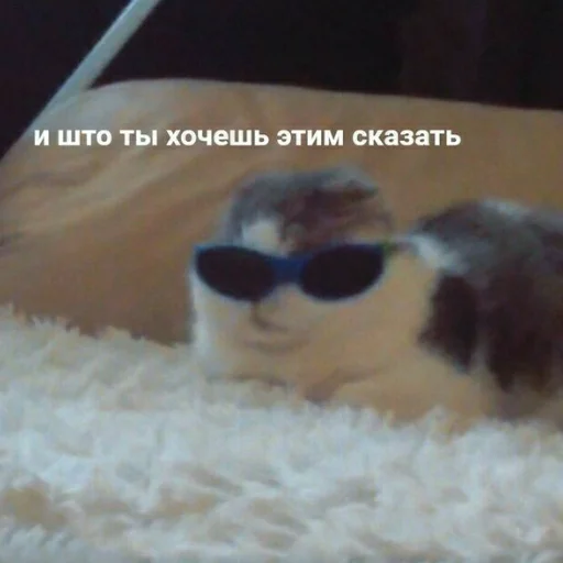 🗿 Стикер «Tak_Nada 2.0» для Telegram
