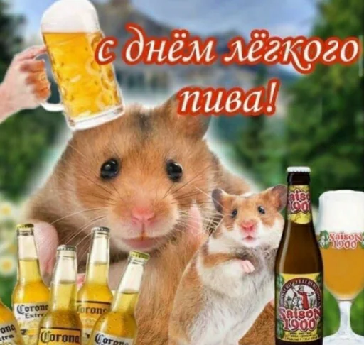 🍺 Стикер «Tak_Nada 2.0» для Telegram