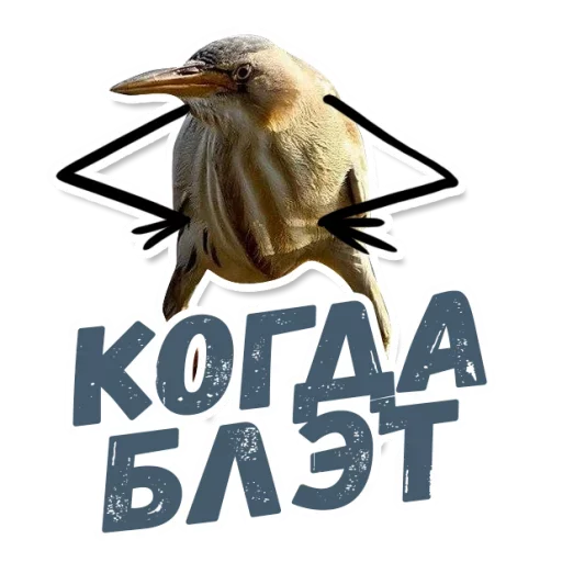 😳 Стикер «ТАК БЛЭТ» для Telegram