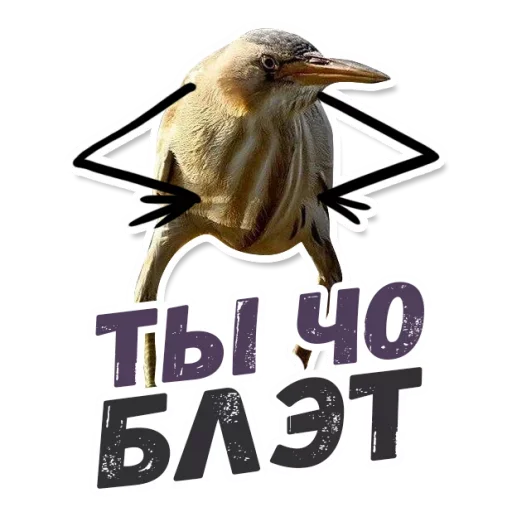 😡 Стикер «ТАК БЛЭТ» для Telegram