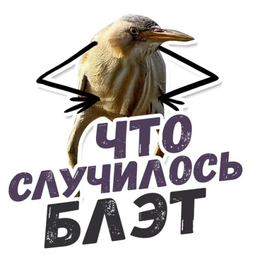 🙈 Стикер «ТАК БЛЭТ» для Telegram