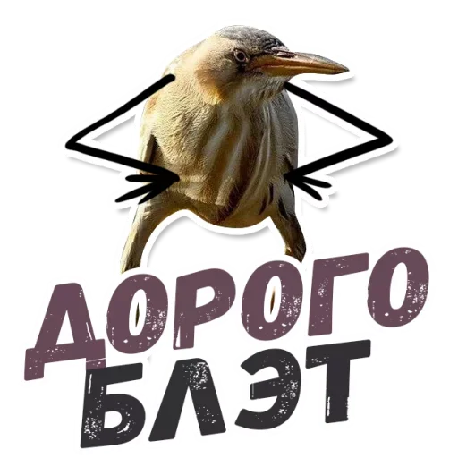 💰 Стикер «ТАК БЛЭТ» для Telegram