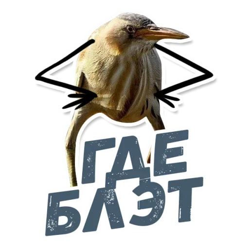 🧐 Стикер «ТАК БЛЭТ» для Telegram