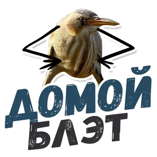 🏠 Стикер «ТАК БЛЭТ» для Telegram