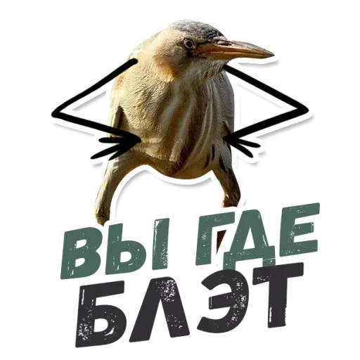 👀 Стикер «ТАК БЛЭТ» для Telegram