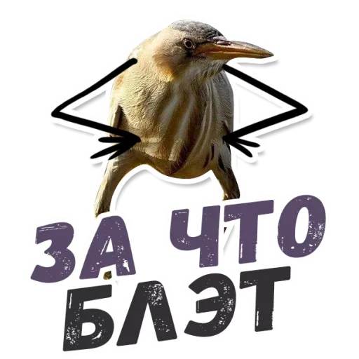 😱 Стикер «ТАК БЛЭТ» для Telegram