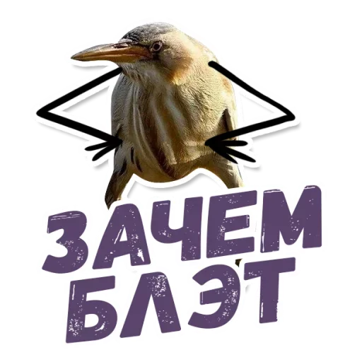 🧐 Стикер «ТАК БЛЭТ» для Telegram