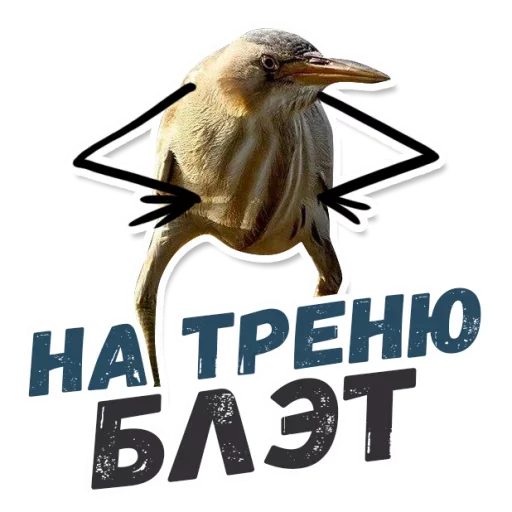 🏃 Стикер «ТАК БЛЭТ» для Telegram