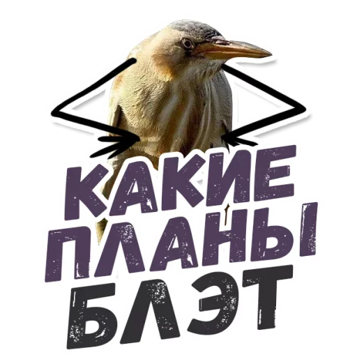 😋 Стикер «ТАК БЛЭТ» для Telegram