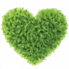 Стикер 47 Green Emotions