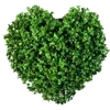 Стикер 55 Green Emotions