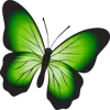 Стикер 61 Green Emotions