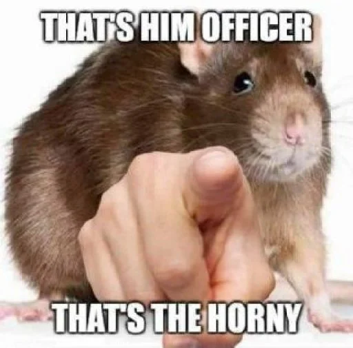 👈 Стикер «Take this rat!» для Telegram