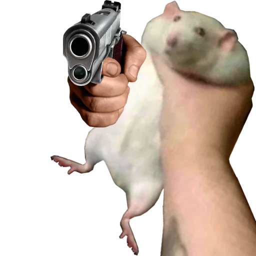 🔫 Стикер «Take this rat!» для Telegram