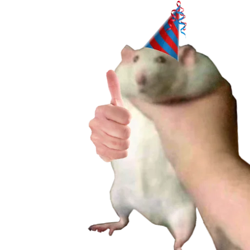 👍 Стикер «Take this rat!» для Telegram