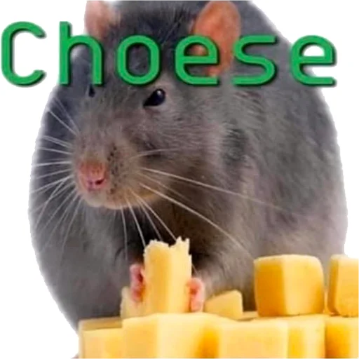 🧀 Стикер «Take this rat!» для Telegram