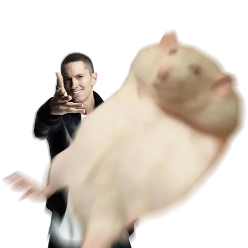 😃 Стикер «Take this rat!» для Telegram