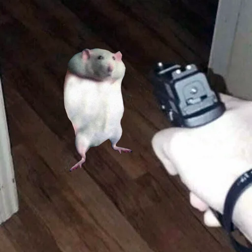 🔫 Стикер «Take this rat!» для Telegram