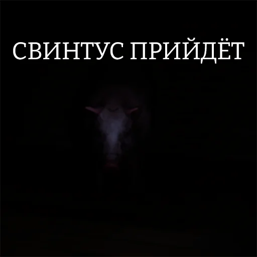 💀 Стикер «ТАК СТОП НАХОЙ» для Telegram