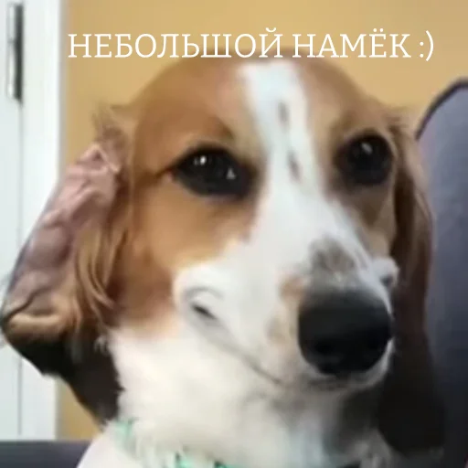 😏 Стикер «ТАК СТОП НАХОЙ V2» для Telegram