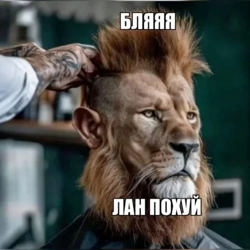 🌟 Стикер «Брейнр» для Telegram