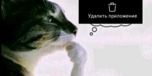 🌟 Стикер «Брейнр» для Telegram