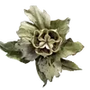 Стикер 54 green witch