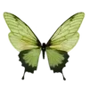 Стикер 11 green witch