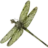 Стикер 7 green witch