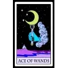 Стикер 14 Purple Tarot Pack