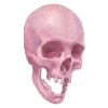 💀 Эмодзи «Esotericism» для Telegram