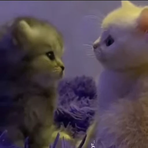 💗 Стикер «nya nya» для Telegram