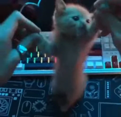 💃 Стикер «nya nya» для Telegram
