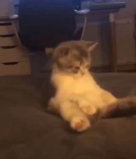 😳 Стикер «nya nya» для Telegram