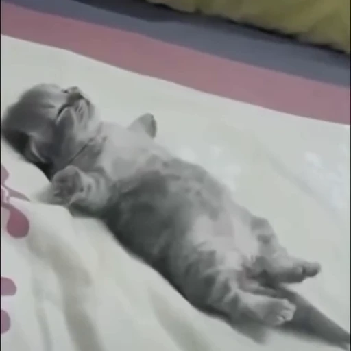 🥺 Стикер «nya nya» для Telegram