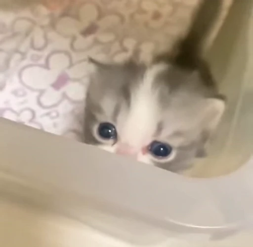🤭 Стикер «nya nya» для Telegram