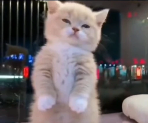 😰 Стикер «nya nya» для Telegram